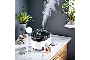 Portable Sauna Heater Expands Relaxation Options