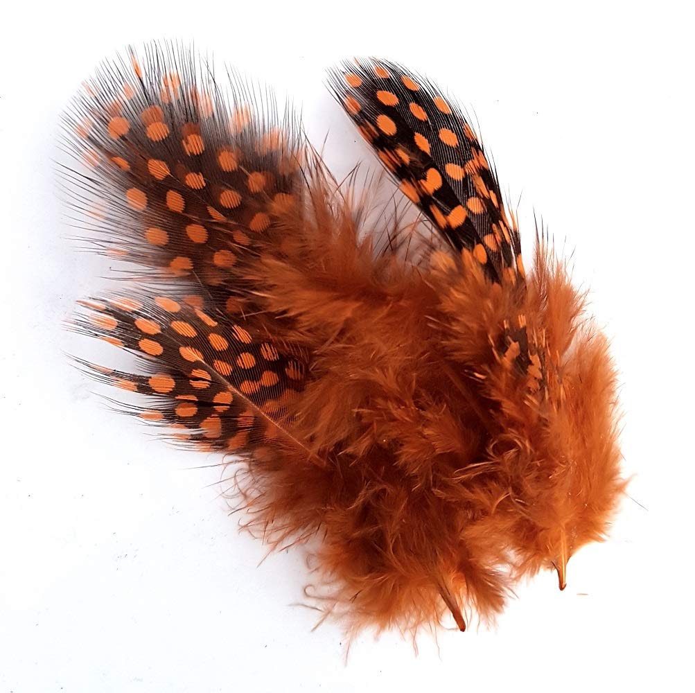 Pack of 10 Quality Dip Dyed Spotty Rooster Feathers – 10 Vivid Colours – 2-5” Long (5-12cm) (Orange)