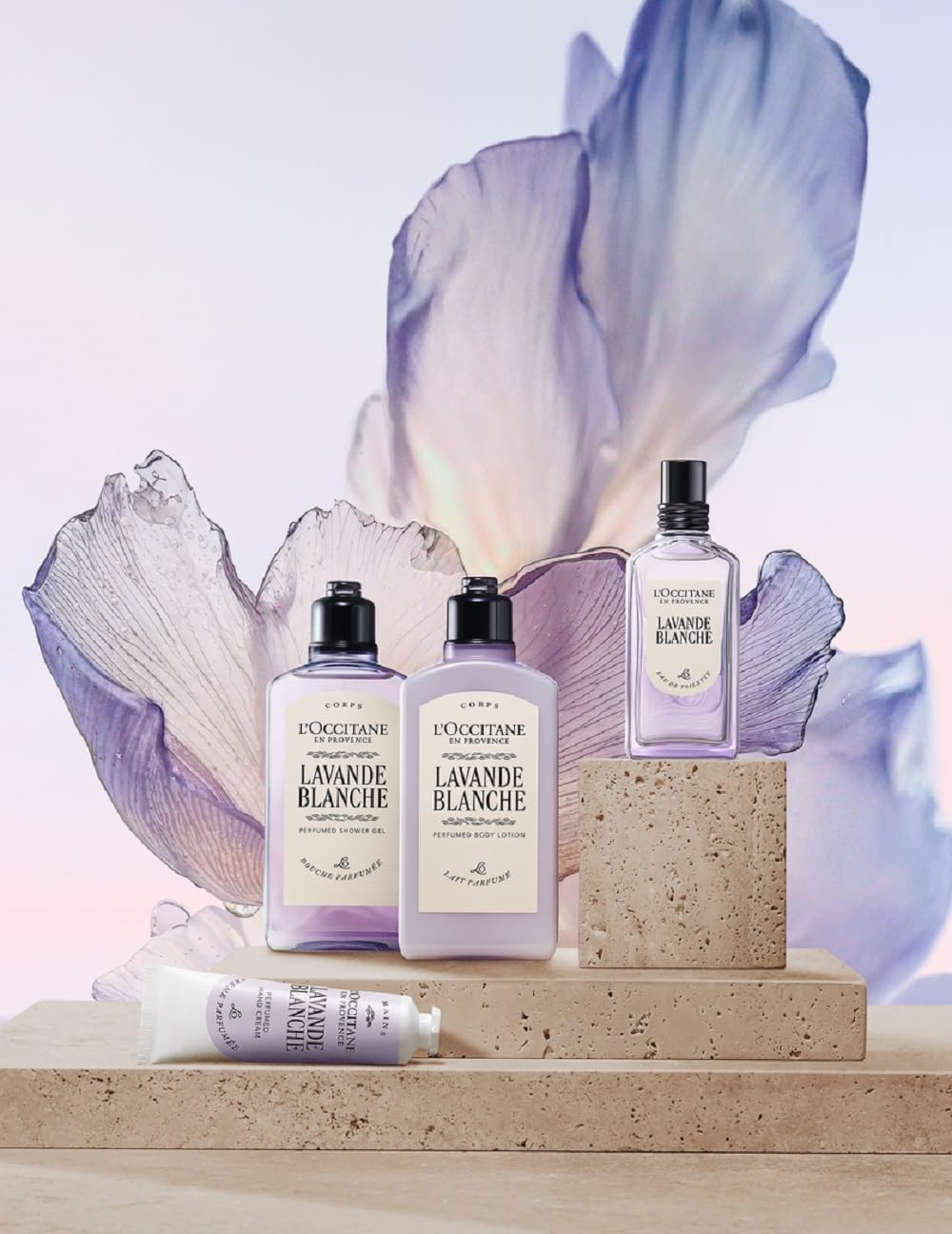 Amazon.co.jp: ロクシタン(L'OCCITANE) ラヴァンドブランシュ