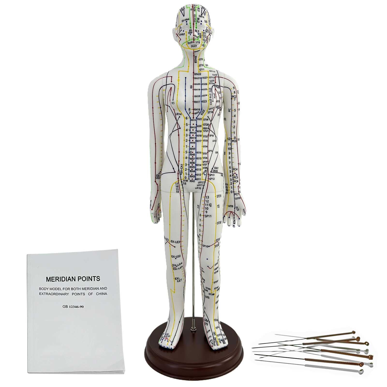 KDJFS 1/3 Life Size Human Acupuncture Model, 21'' Human Acupuncture Point Mannequin with Acupuncture Point Location Instructions Used for Needle Insertion Practice