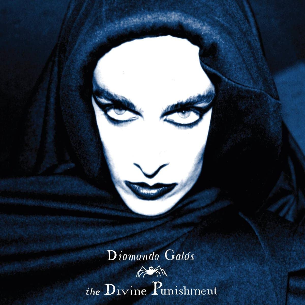 The Divine Punishment [VINYL]