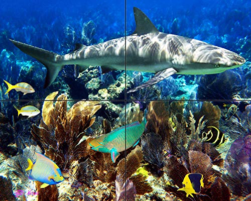 Guardian of The Reef Tile Mural 16 x 20 Inches | Underwater Photos Printed on Glossy Ceramic Tiles | Original Photography by Florida Keys Artist Nadine and Glenn Lahti