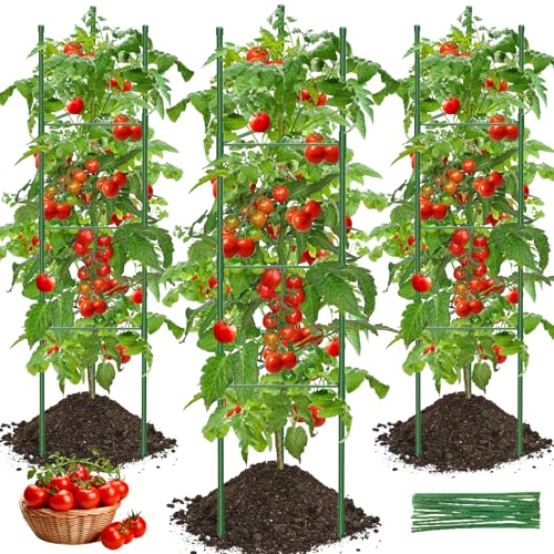 3 Stück Tomatenkäfige Tomaten Rankhilfe, 130cm Verstellbar Tomatenturm Rankgitter Pflanzenstütze Pfahl Garten Blumenstütze Klettergitter für den Anbau von Kletterpflanzen Blumen Gemüse 3 Stück Tomatenkäfige Tomaten Rankhilfe, 130cm Verstellbar Tomatenturm Rankgitter Pflanzenstütze Pfahl Garten Blumenstütze Klettergitter für den Anbau von Kletterpflanzen Blumen Gemüse