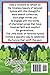 Little Book of Favorite Hymns Word Search for Adults and Seniors: An Inspirational Religious Word Find Puzzle Activity for Christians (Little Books Word Search Collection for Adults)
