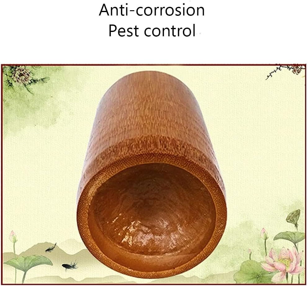 Cupping Therapy Set Bamboo Fire Cupping Chinese Cupping Therapy Set Various Sizes Physical Dehumidification 12PCS