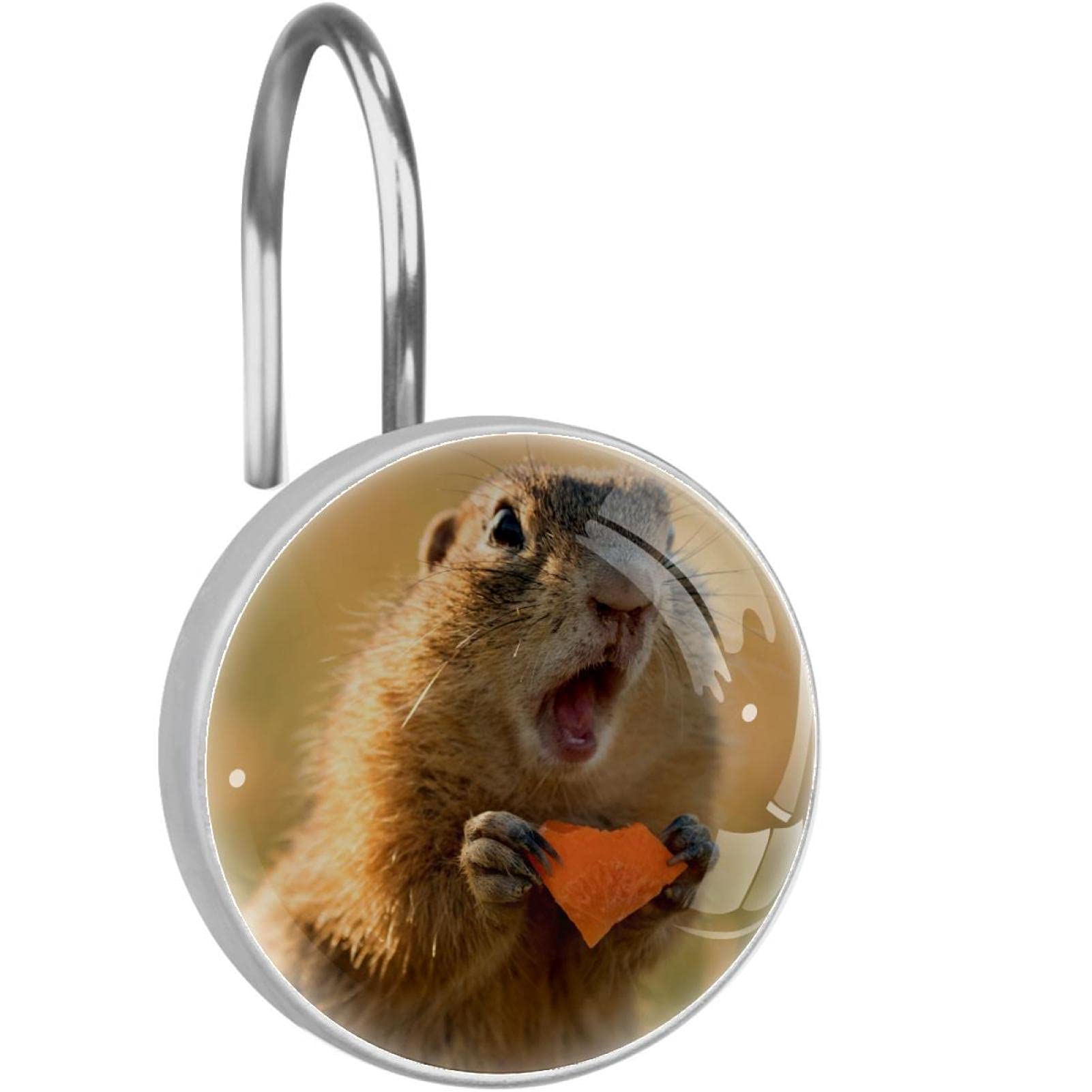 Anelli per tende da doccia, set di 12 ganci decorativi per tende da doccia, anelli appendiabiti in metallo antiruggine per tende da bagno,Marmotta animale