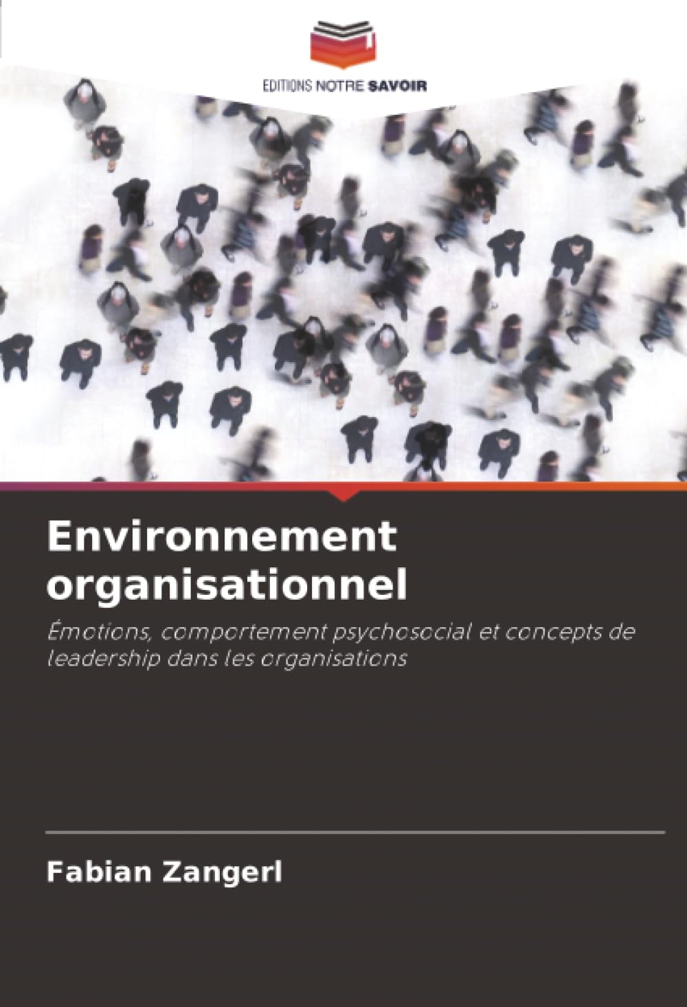 Environnement organisationnel: Émotions, comportement psychosocial et concepts de leadership dans les organisations