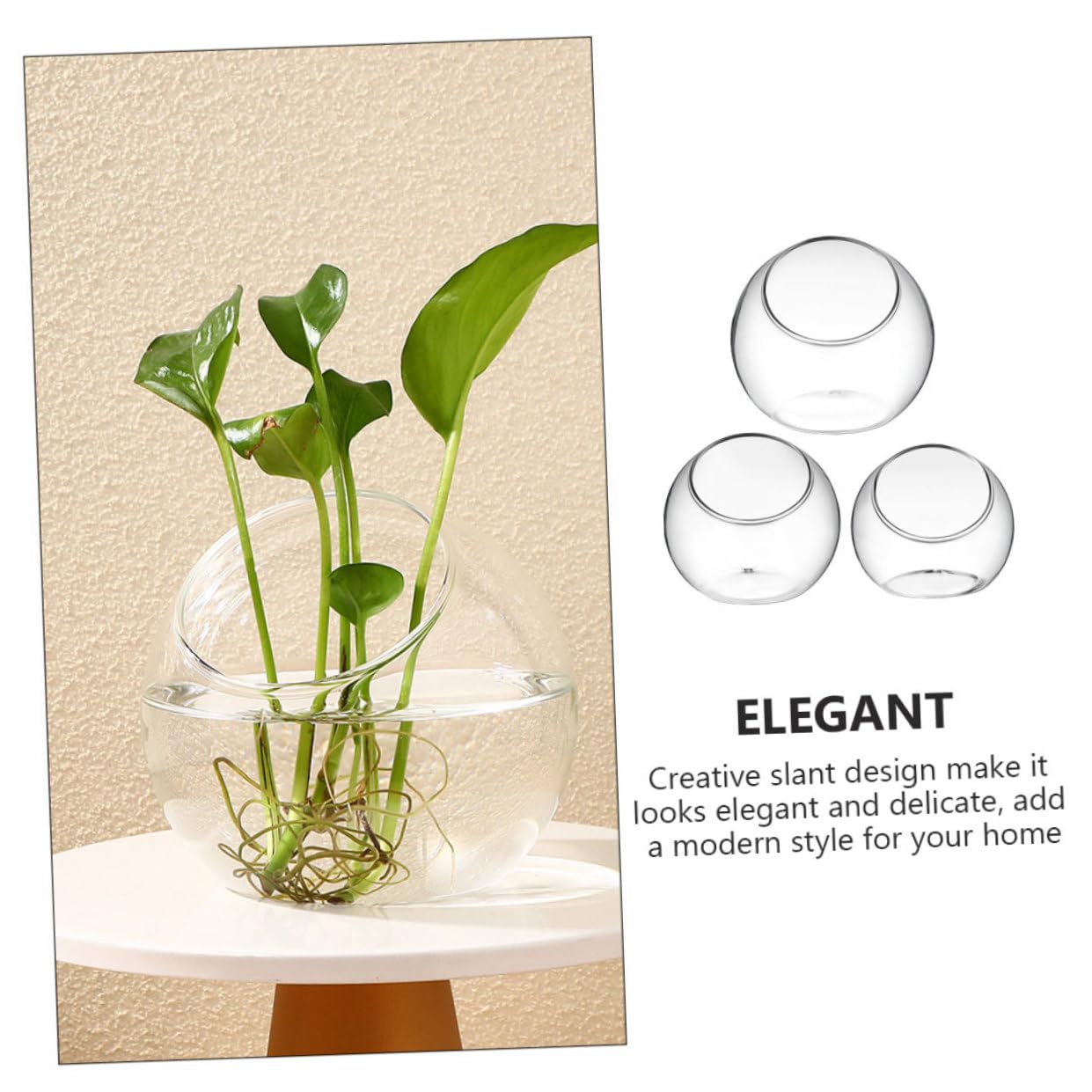 VANZACK Set da 3 Contenitori in Vetro per Terrario Micro Paesaggistico, Bottiglie per Piante Grasse da Tavolo, Barattoli Ecologici per Decorazione Interni e Kit Fai da Te