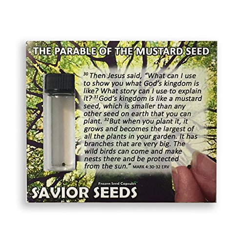 The Parable of The Mustard Seed Christian Faith Teaching Tool. 10