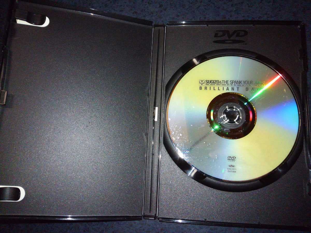 ミュージック theFLARE DVD sugizo lunasea LUNA SEA SUGIZO The FLARE DVD