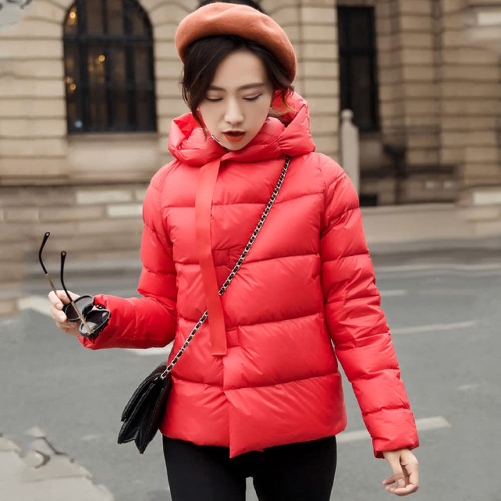 DSMYZ Winter down jacket Female Winter 