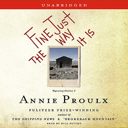 Cover art for Fine Just The Way It Is