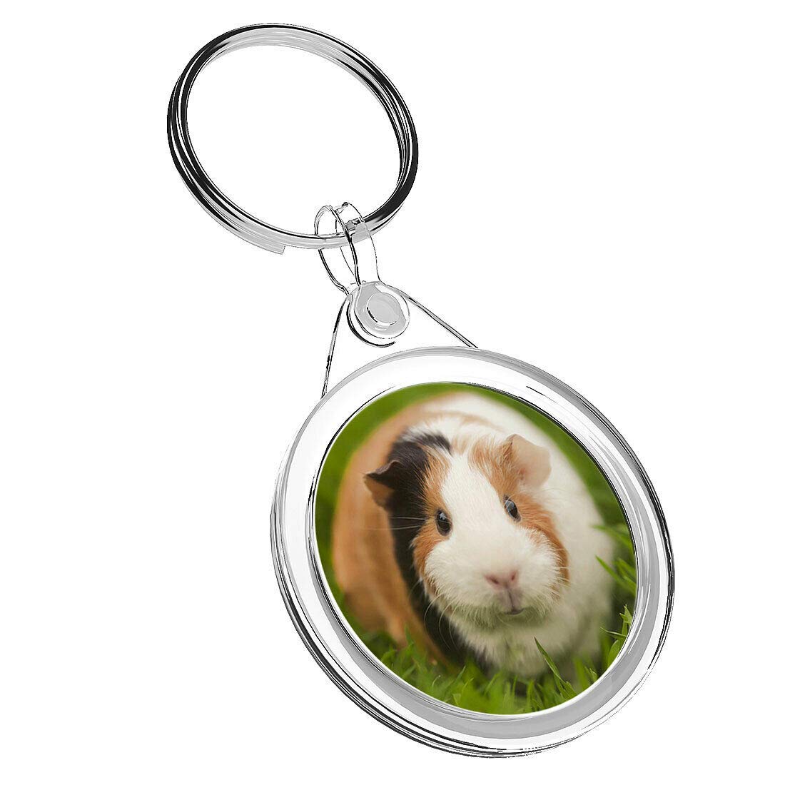 Destination Vinyl Keyrings Unisex Multi 1 X Tri Colored Guinea Pig Animal - Keyring Ir02 Mum Dad Birthday #15969