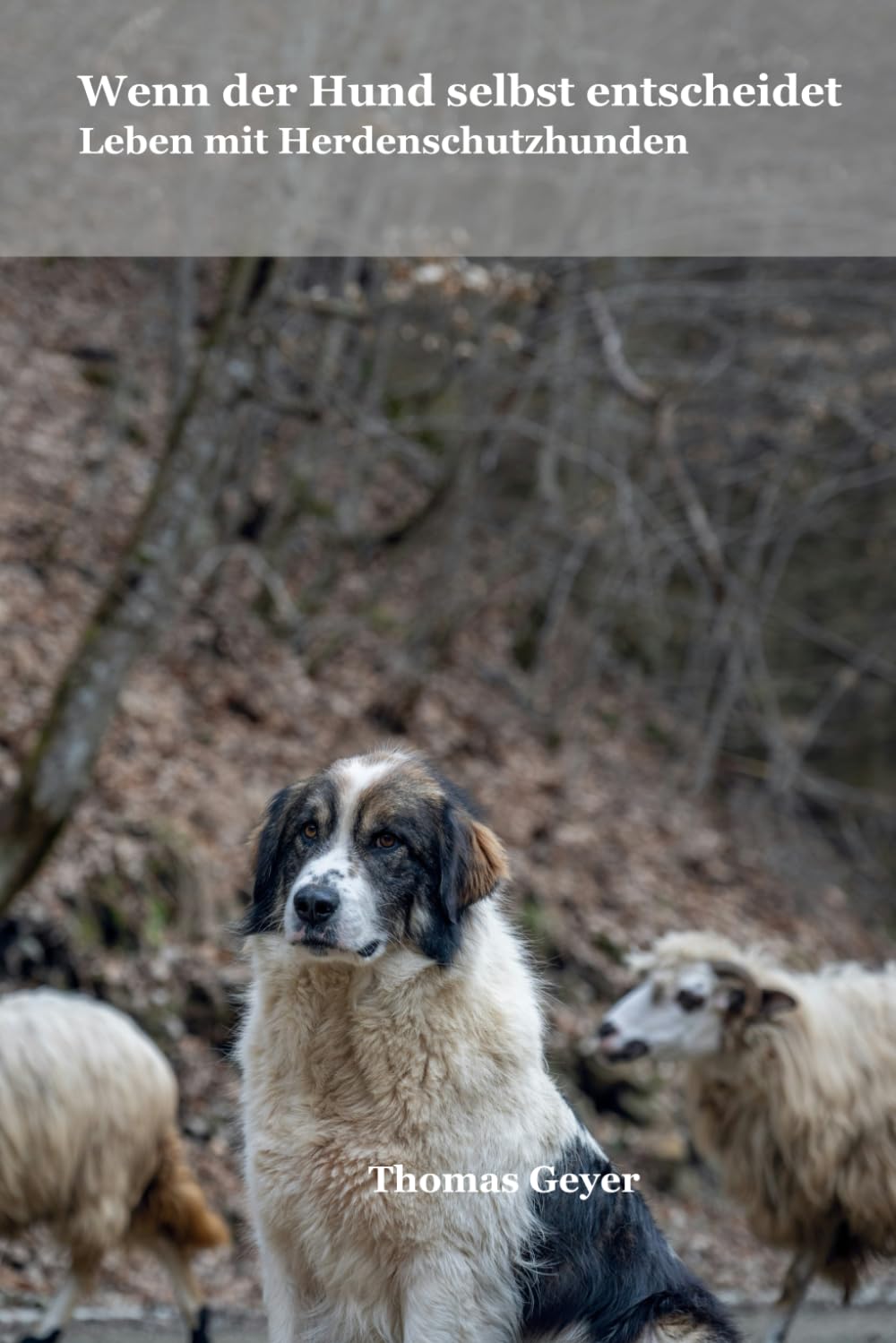 Wenn der Hund selbst entscheidet: Leben mit Herdenschutzhunden