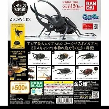 ガシャポン　いきもの大図鑑　かぶとむし 01 全7種　フルコンプ ガシャポン いきもの大図鑑 かぶとむし 01 全7種 フルコンプ