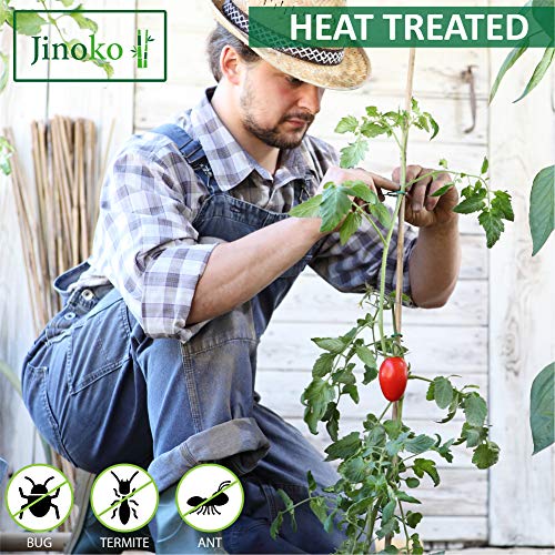 Jinoko Bamboo Stakes - Pack Of 25 Premium 6 Ft Garden Stakes For Plants - Natural Gardening Supports For Tomato, Cucumber, Peas, Beans & Trees - Indoor Outdoor Climbing Plant Support - Long Sticks #TOP2