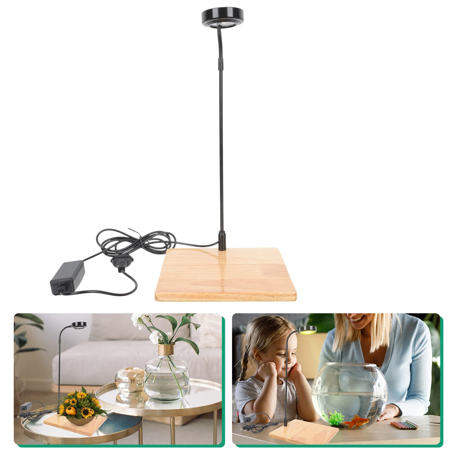 BESPORTBLE Luz Led Para Peceras Base De Madera Lámpara Acuario 3w Ideal Para Plantas Acuáticas