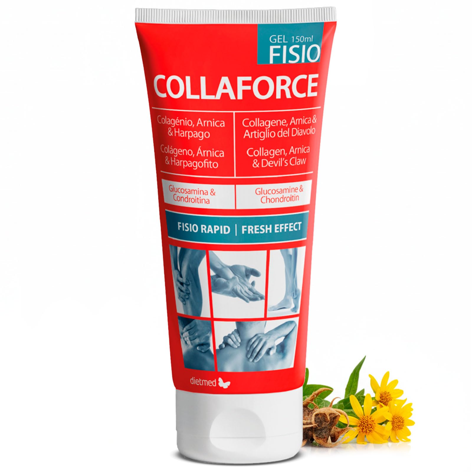 Dietmed Collaforce Fisio Gel effetto freddo, 75ml