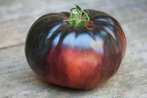 Miniatura 3 de Semillas Black Russian Tomate Indeterminado No GMO Heirloom