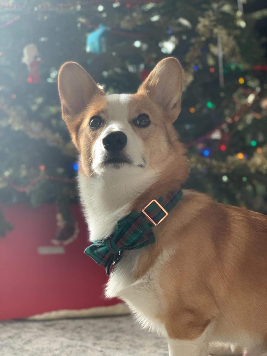 61Sh0NUYriL. AC SL1500