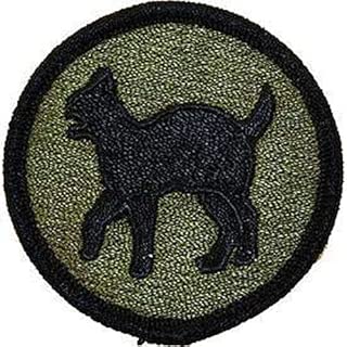 US Army Iron On Patch - Corps - 81st Infantry Division RR Command (2003) Logo - coolthings.us