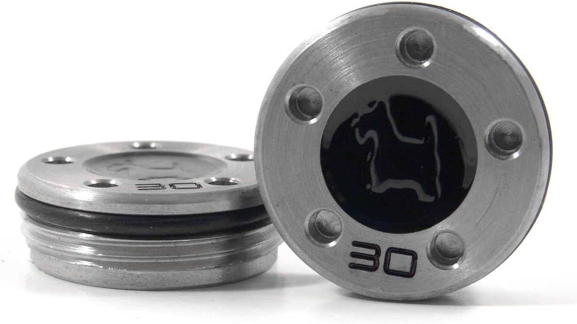 19th Hole Custom Shop 2 of 30g Weights for Scotty Cameron Golf Putters, Scottie Dog