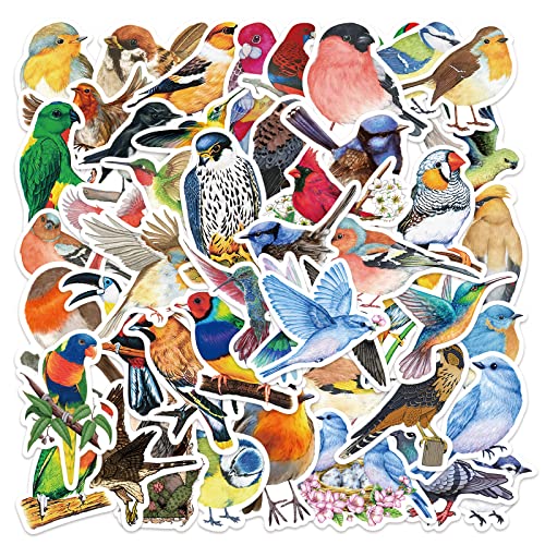 100 PCS Bird Stickers, Vinyl Waterproof Bird Stickers for Water Bottles, Laptop, Notebook, Scrapbook, Luggage, Cell Phone, Skateboard, Helmet