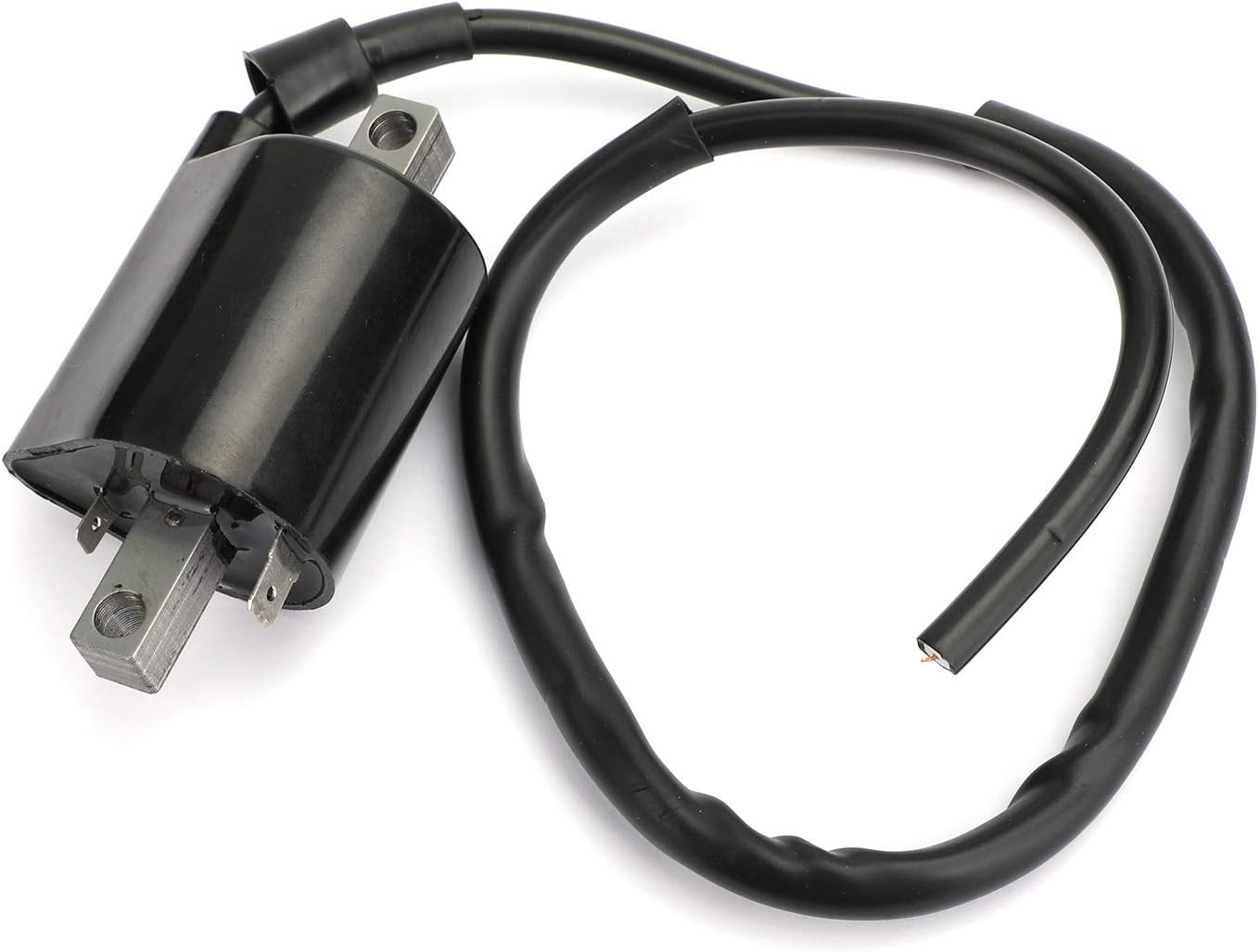 Bruce & Shark Ignition coil for Yamaha Gas Golf Cart golf Kart G2 G9 G11 Replace J38-82310-20-00