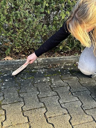 ROTHENBERGER Industrial Kratzbürste Unkraut | Drahtbürste | Grillbürste | Metallbürste | Kehlnahtbürste | Handdrahtbürst 3-reihig I 28 cm lang I mit Holzgriff (Packung mit 2)