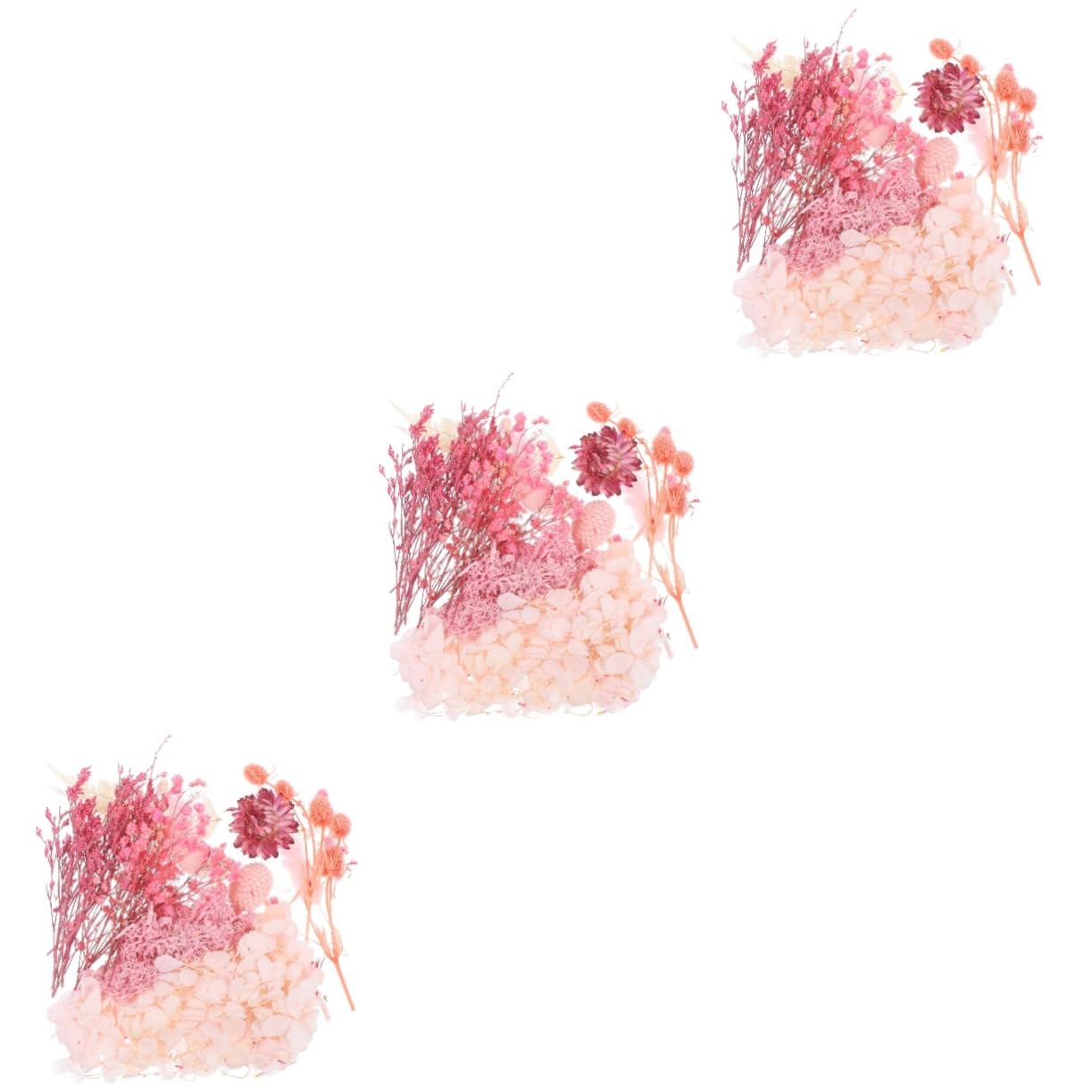 COHEALI 3 Set Di Fiori Pressati Secchi Per Larte in Resina Petali Di Fiori Naturali Per Decorazioni Materiale Artigianale Squisito