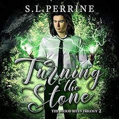 『Turning the Stone』のカバーアート