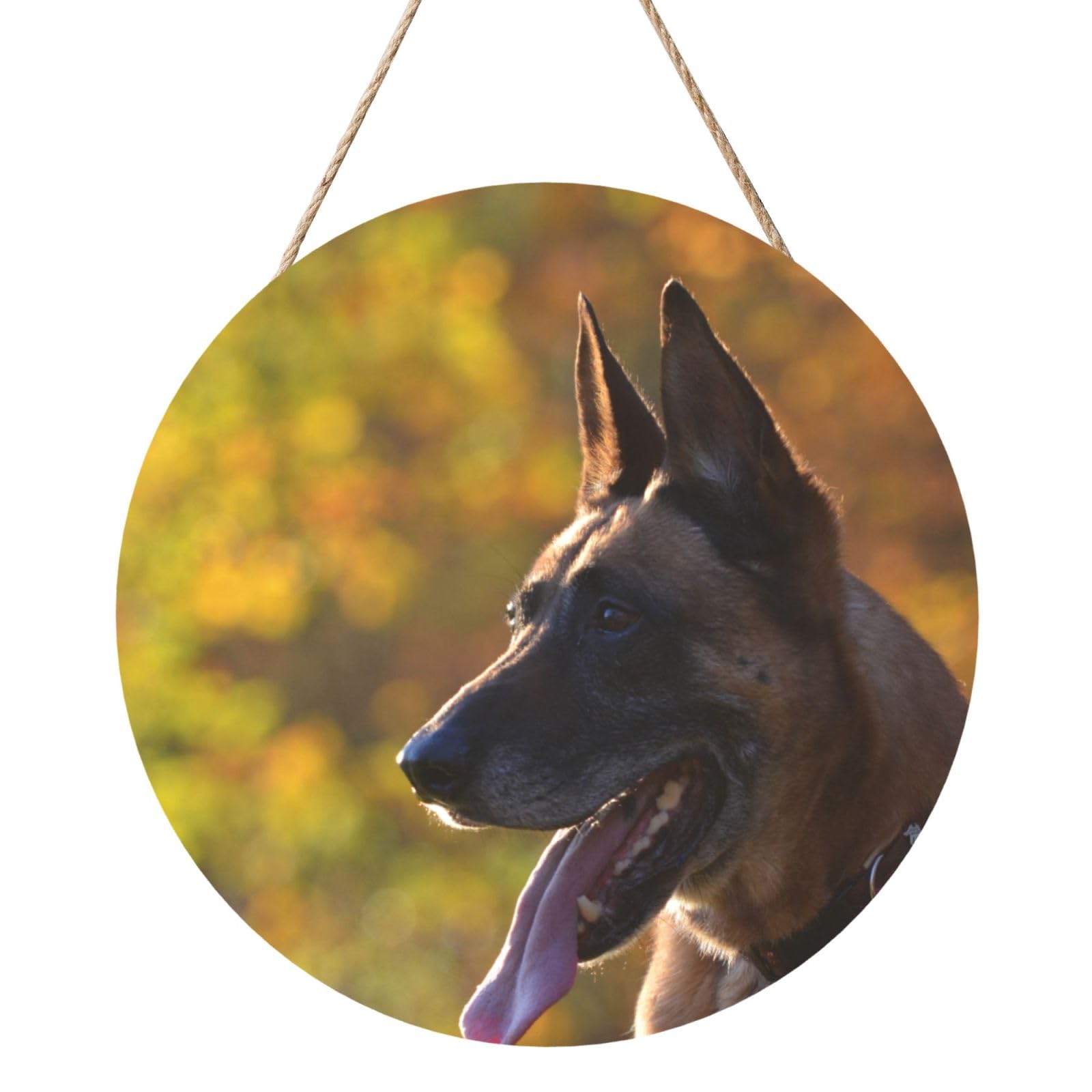 Malinois, Round Wood Panel Painting 12 in, Wall Hanging Painting For Home