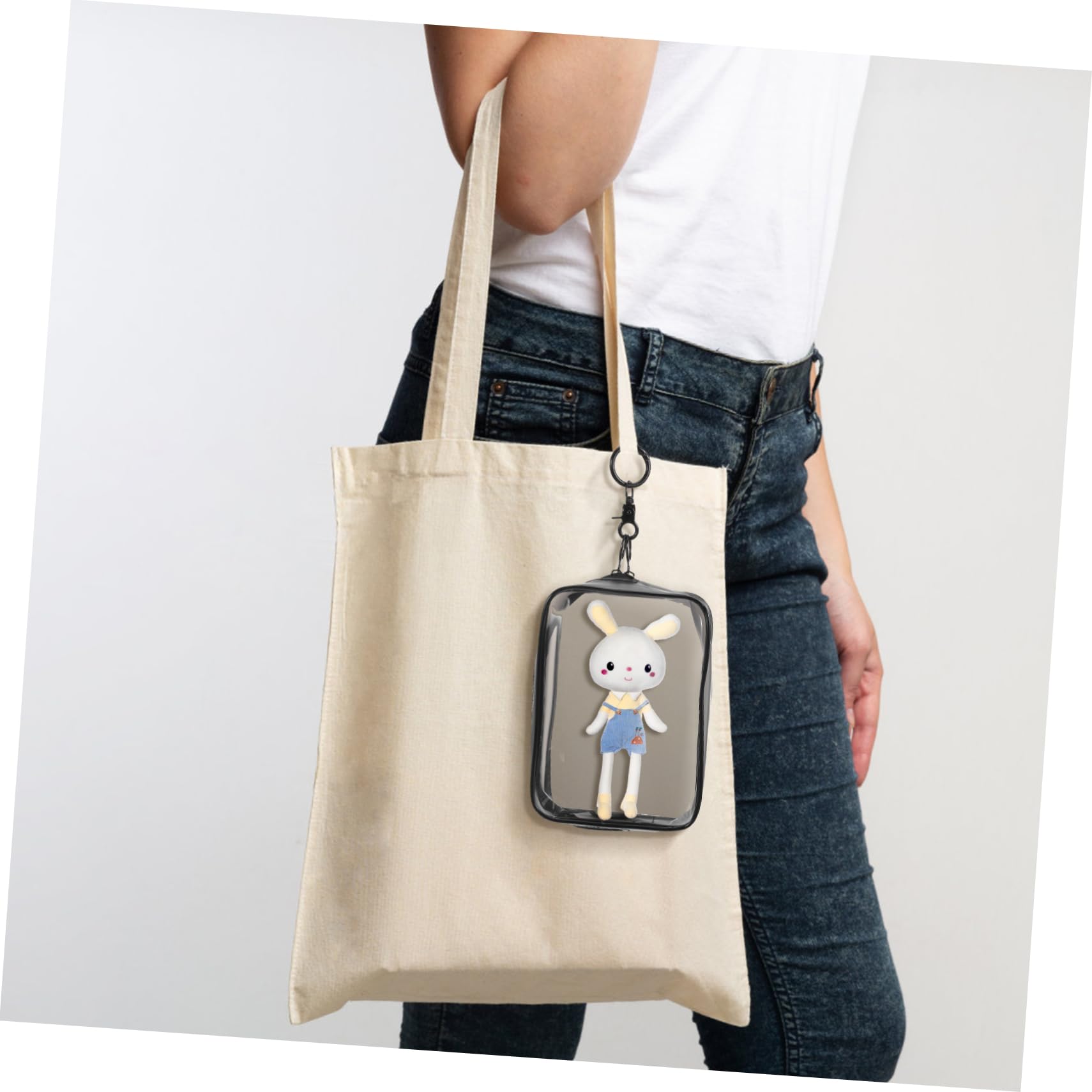 Borsa per esposizione di figure trasparenti, Borsa per esposizione di