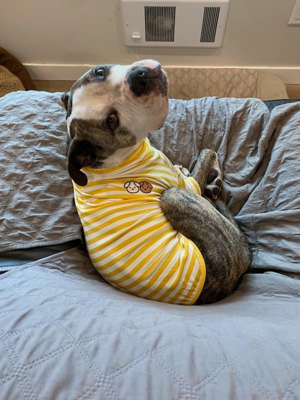 T-shirt rayé confortable et extensible pour costumes d'animaux