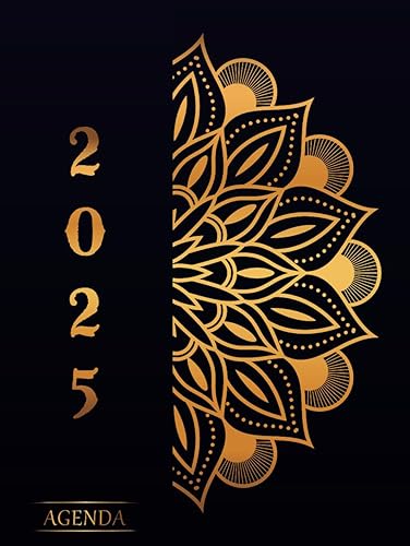 Agenda 2025 Journalier Professionnel: Planificateur Grand Format A4 | 1 Page Par Jour avec Heure | 12 Mois de Janvier 2025 / Décembre 2025