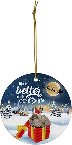 Miniatura 2 de Life is Better with Chocolate Lionhead Rabbit Nombre Personalizado Adornos de Navidad 2023 Círculo Blanco Cerámico Dueño de Granja Regalo