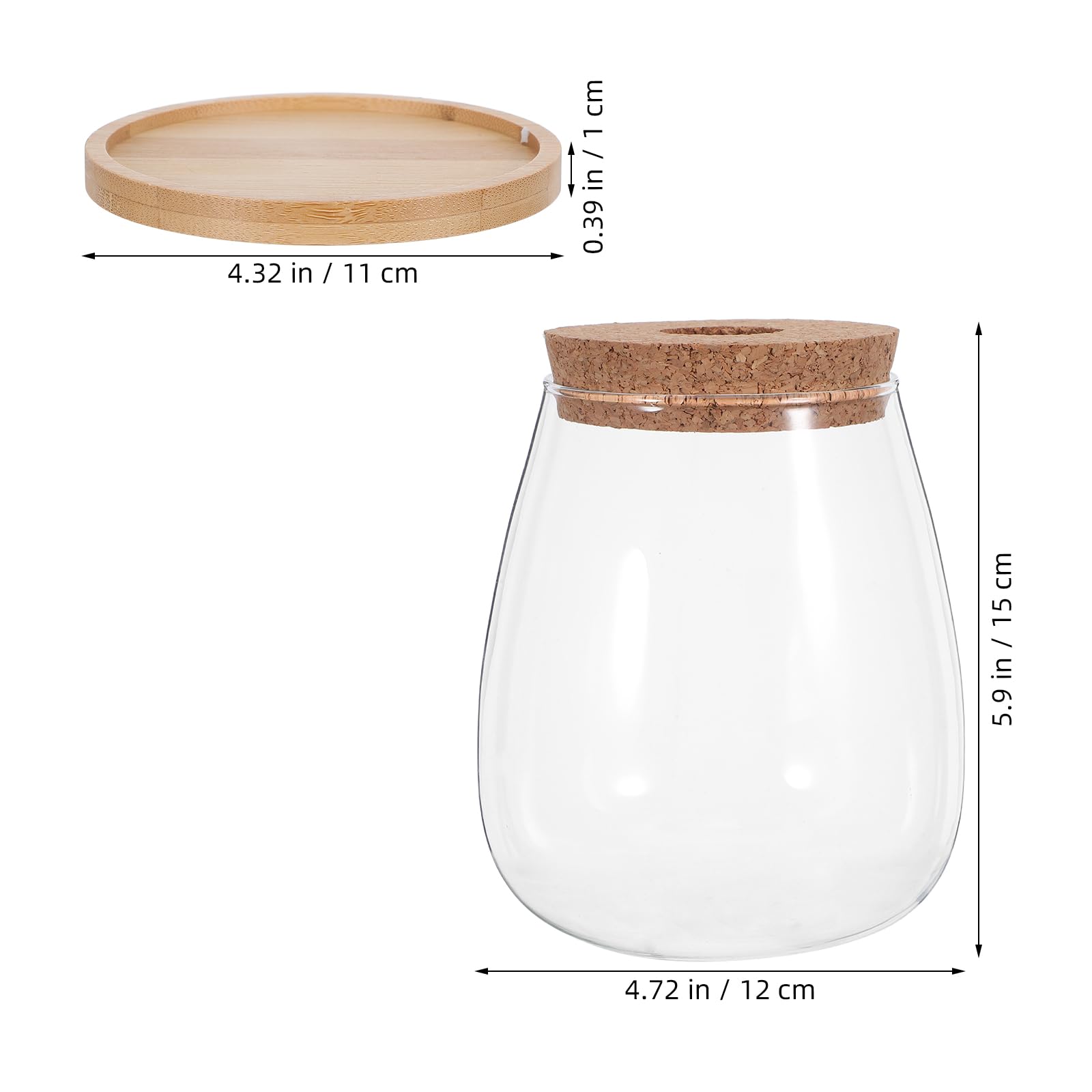 VICASKY Vase de Propagation Hydroponique en Verre Grand Format 2 Pièces avec Bouchons en Liège Perforés et Supports en Bambou, Station de Culture pour Plantes D’intérieur, Propagation