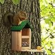 Relaxdays Eichhörnchen Futterhaus, Holz, Eichhörnchenfutterstation mit Maiskolbenhalter, Napf, Sitzplattform, Natur/grün, 1 Stück