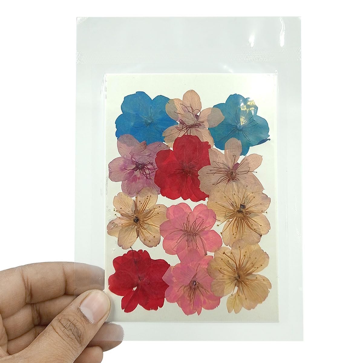 Natural Real Dried & Pressed Flowers Sheets for Art Craft - Mixed, Multicolor for Soap, Candle, Journal, DIY, Resin Jewelry, Pendant-[Beautiful Cherry Flower-Multicolor]-image-37