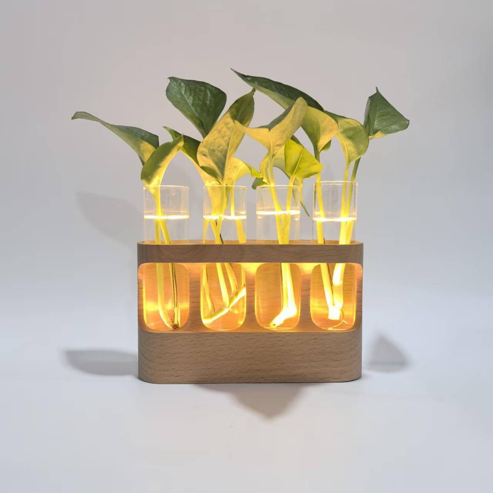 Vase pour La Propagation des Terrarium avec Éclairage LED Réglable