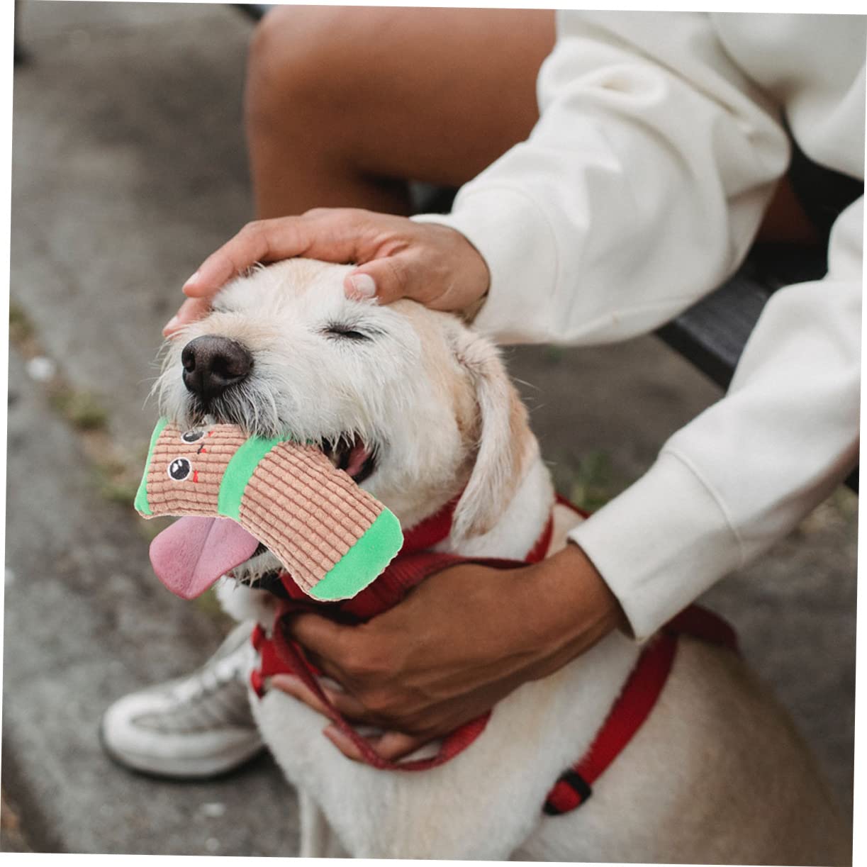 INOOMP 6paires Chaussettes à Jouer pour Chiens De Jouets Squeaky pour Chiots Stimule Instinct De Jeu Et Le pour Occupation Divertissement des Chiens