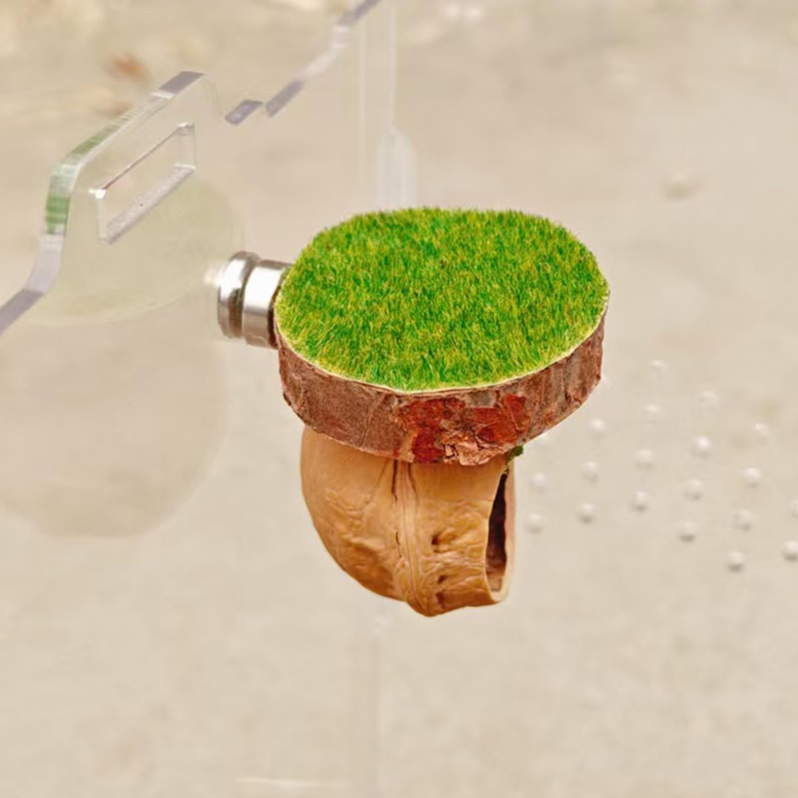 View 3