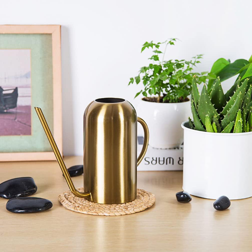 1stk Gießkanne Aus Edelstahl Garten Gießkanne Pflanzgefäße Für Zimmerpflanzen Klein Ausguss Saftiger Gießtopf Sprühflasche Kind Rostfreier Stahl Pflanzer Draussen