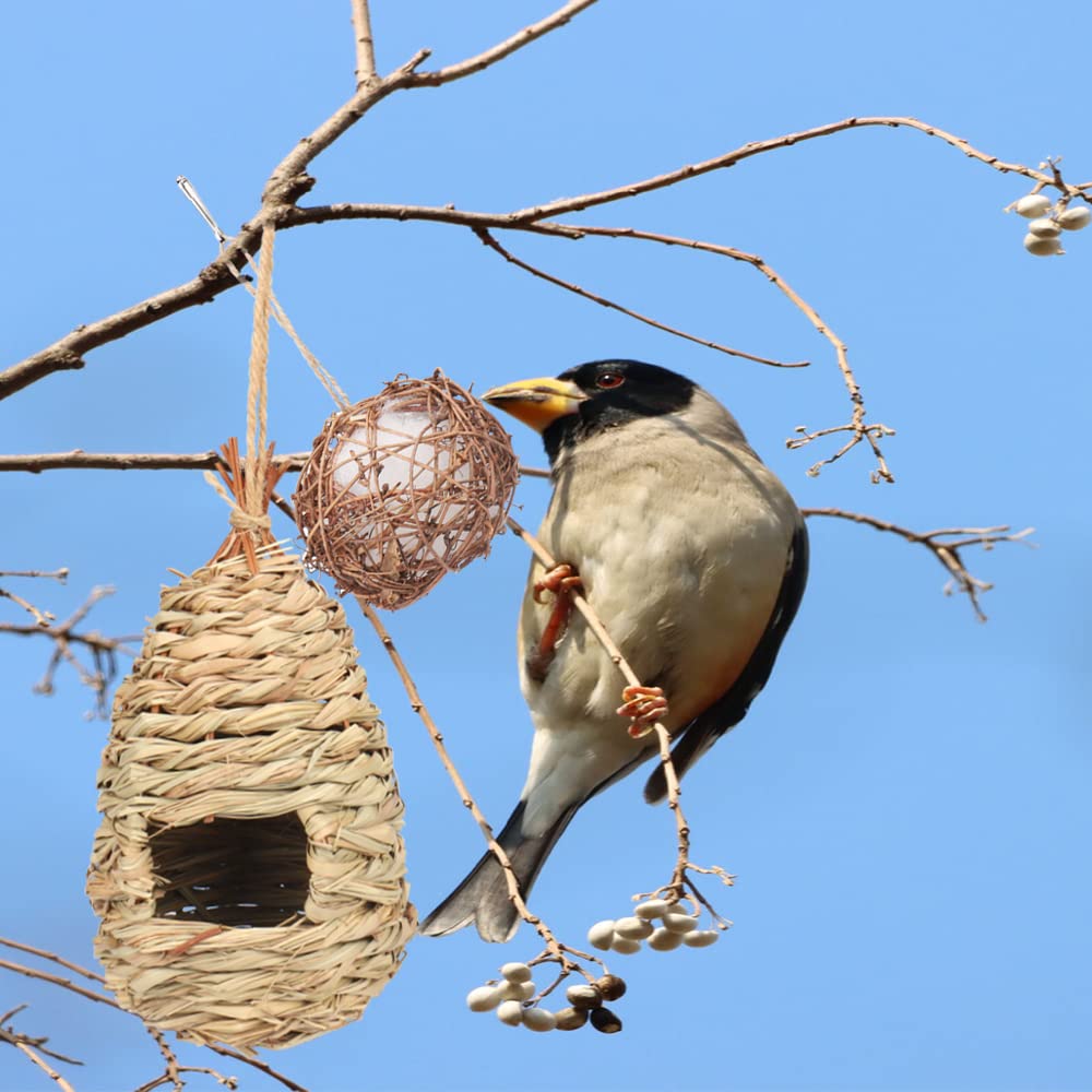 Nichoir Oiseaux Exterieur Original, Cabane Oiseaux En Bois, Nid Oiseau Canari, Nichoir Rouge Gorge, Nichoirs à Oiseaux Sauvages, Nichoir Mésange Bleue A Suspendre Jardin Arbre Voliere Avec Separation