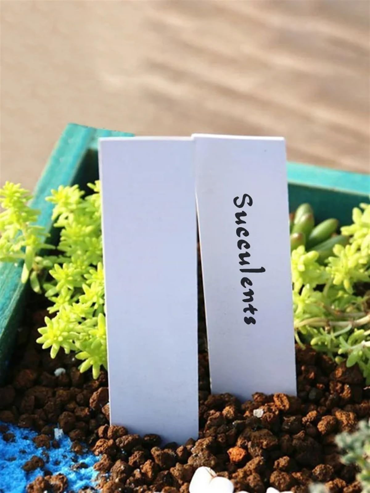 Segnalini a T, Etichette Rigide Piante Giardino, Multicolor, 10x2 cm, 100 Pz, Riutilizzabili(Blue)