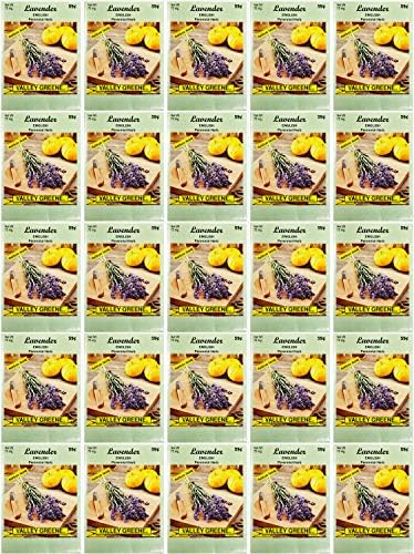 Black Duck Brand Set of 25 Lavender Flower Seed Packets! Flower Seeds in Bulk - Great for Creating The Garden of Your Dreams! (25, Lavender)