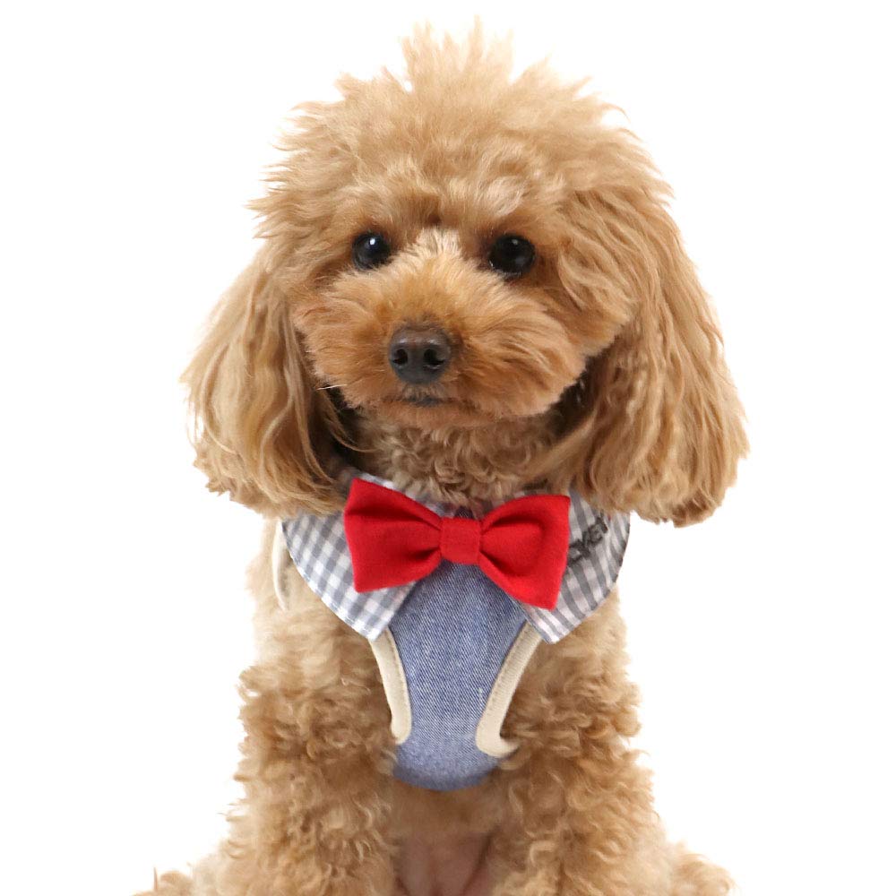 Amazon | ペットパラダイス ディズニー ミッキーマウス アイコン柄