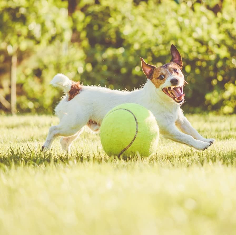 Miniatura 6 de Bola de tenis grande Yosoo para mascota de 9.5pulgadas, juguete mega jumbo para perros, suministros para diversión al aire libre, deportes, playa,