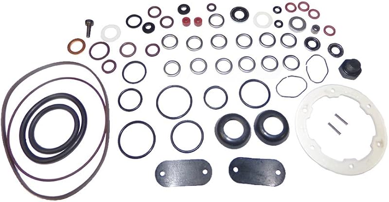 Kit de vedação da bomba de injeção diesel Roosa Master/Stanadyne 24371 para bombas DB/JDB/DC – 1 unidade