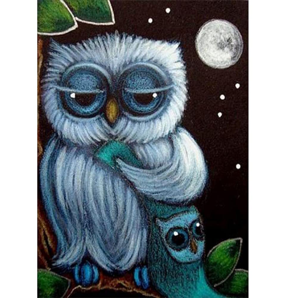Diamond Painting Chouette 5D pour Décoration Murale de Salon et Chambre Adulte